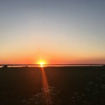 Dansk Solcelleforening: god VE-aftale – nu skal solenergien op i gear