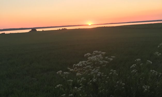 Flexafregning er løsningen