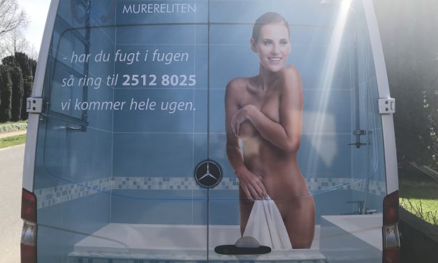 Hvad laver advokaterne?