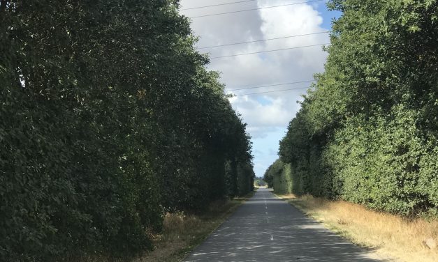 Højesteret fastslår, at “misbrug af dominerende stilling” er uacceptabel