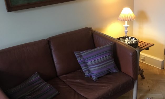 Privat pasning savner check af indeklima