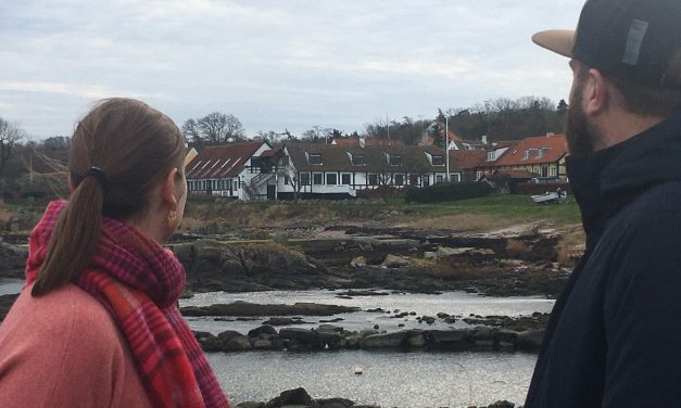 Energibranchen siger værn om det lokale