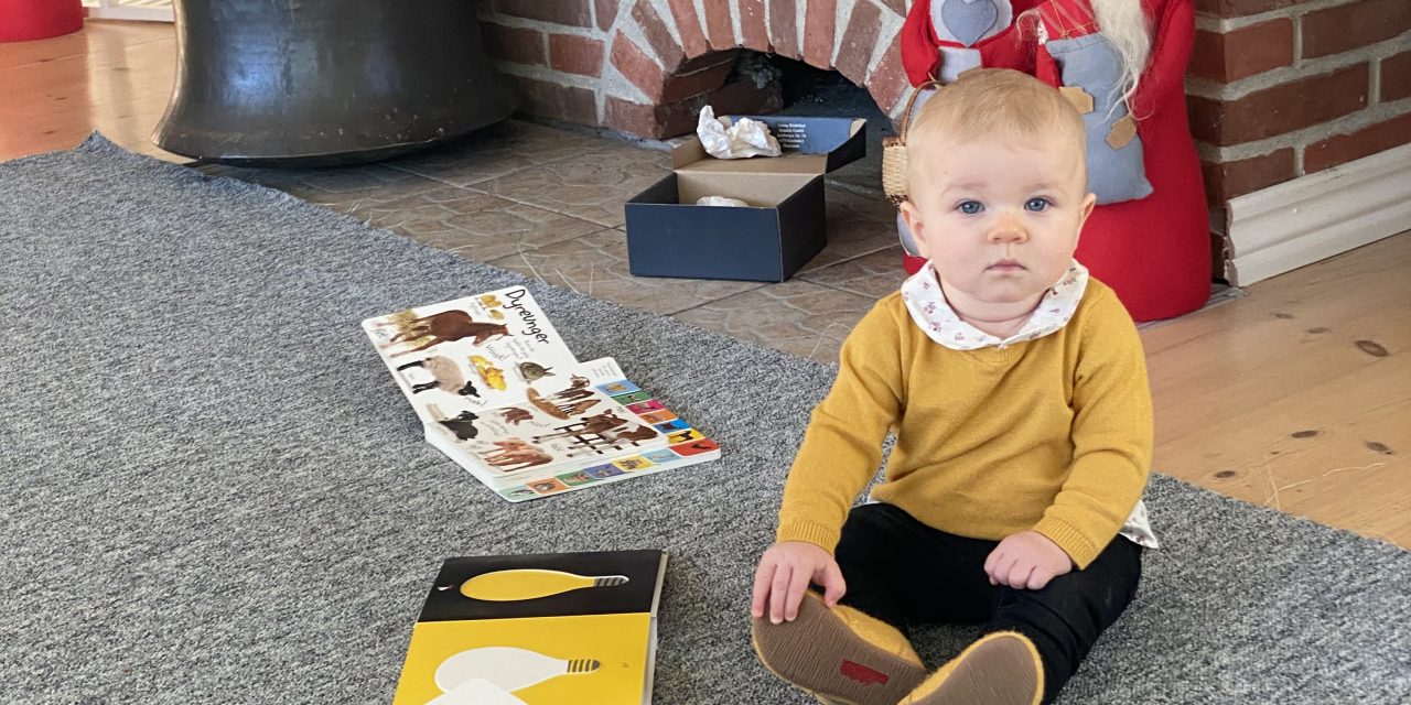 4 satsområder hos Solar