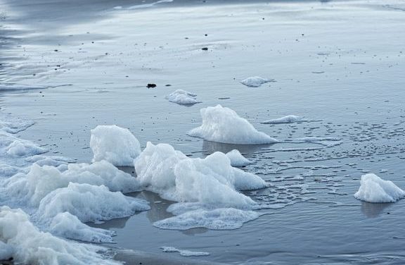 Så skal havet opskummes og PFAS`- en fjernes