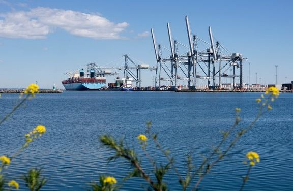 Aarhus havn 100% grøn