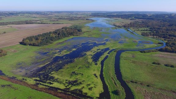 4 rådgivere skal binde CO2 i klima-lavbundsprojekter