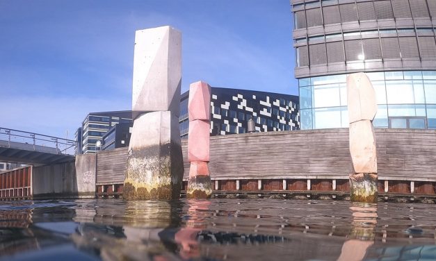 100 gange så mange torsk