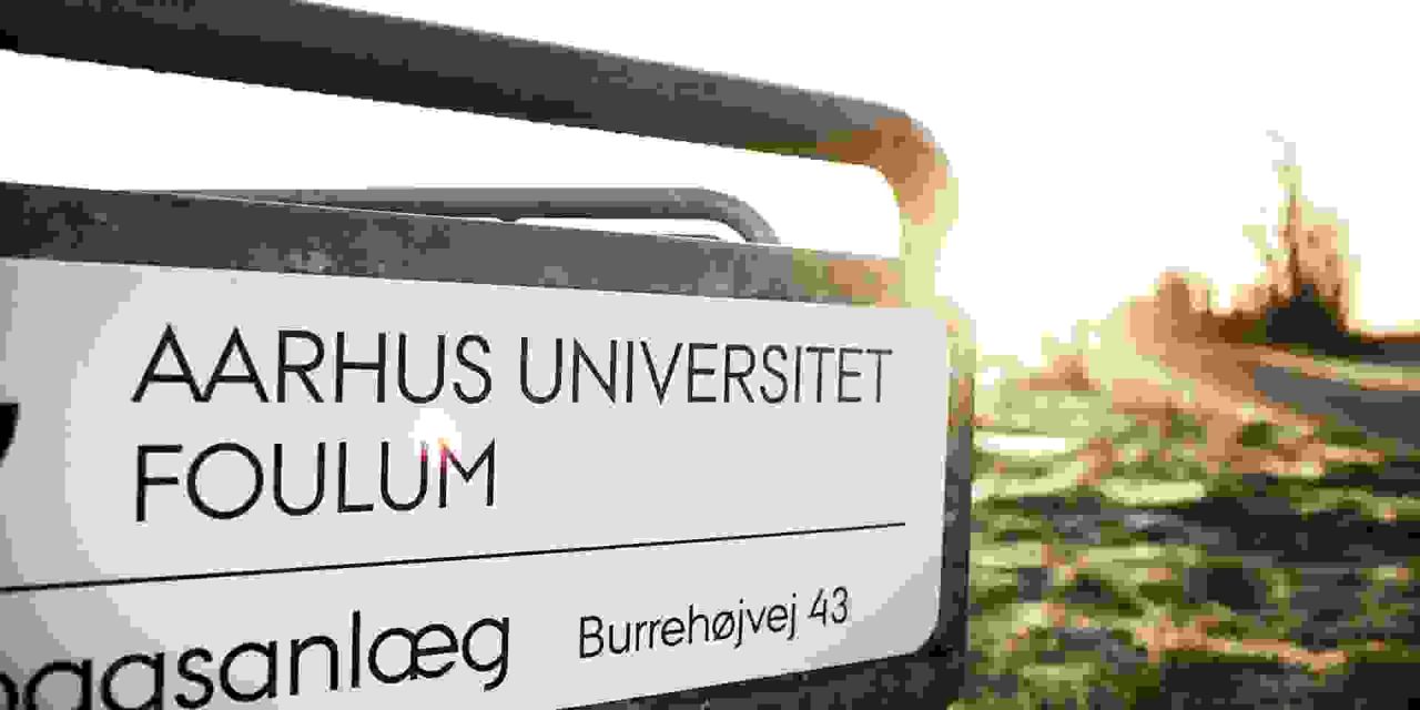 50% mere grøn biogas