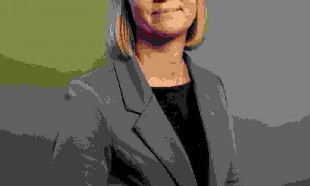 Kommuner får ansvar for højt grundvand. Hofor har styr på det.