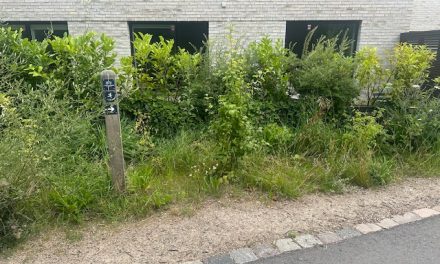 Millioner spildes i Lyngby Taarbæk Kommune