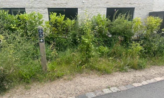 Millioner spildes i Lyngby Taarbæk Kommune