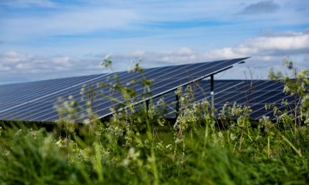 Solceller på cPPA-aftale til 30.000 hustande