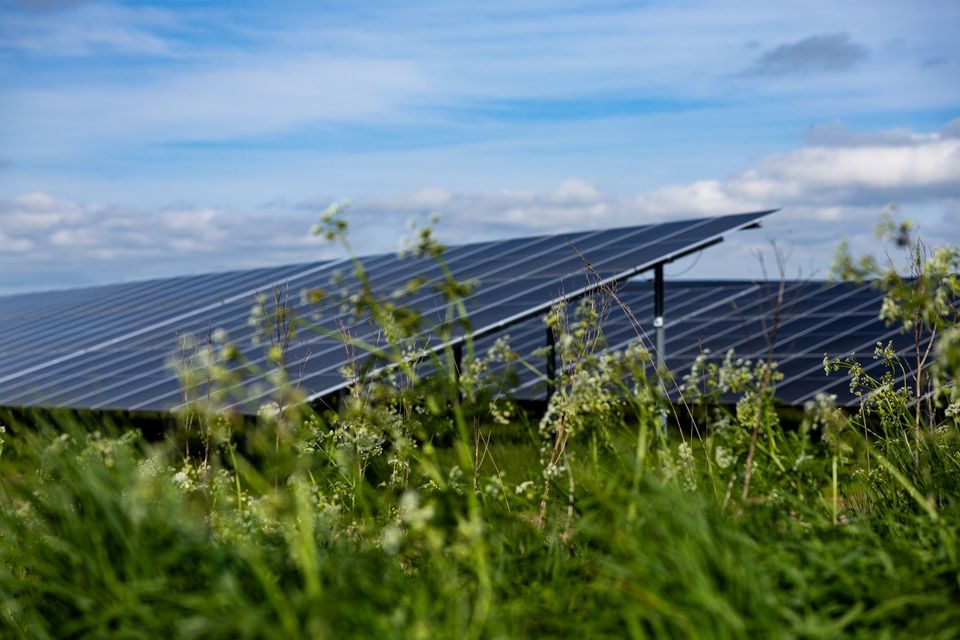 Solceller på cPPA-aftale til 30.000 hustande