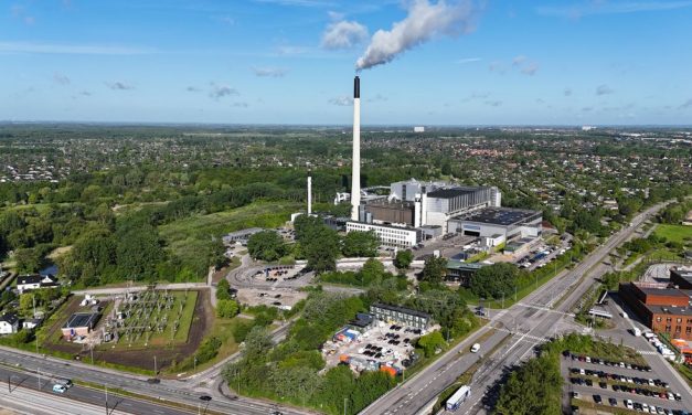 Microsoft skal fjerne CO2 til glæde for 10.000 hustande