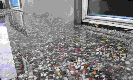 Skimmelsvamp truer oversvømmede boliger