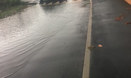 IF efterlyser aktiv beskyttelse mod vandskader