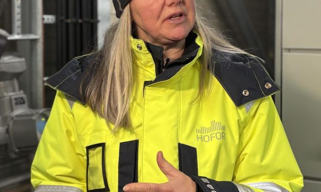 Hofor klarer kulden